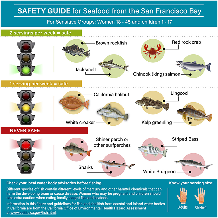 Figure 2 - Different fish contain different levels of mercury and certain people, including growing kids like you, are more likely to be harmed from eating food containing mercury.